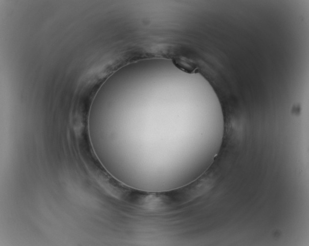 X0000113240566200909171605