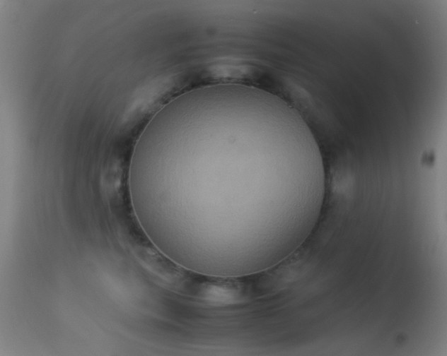 X0000113240567200909171605