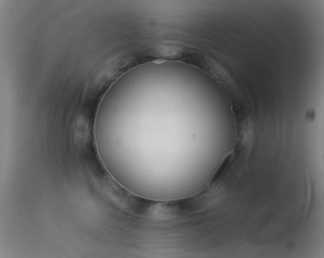 X0000113240568200909171605