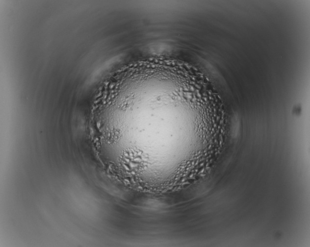 X0000113240569200909171605