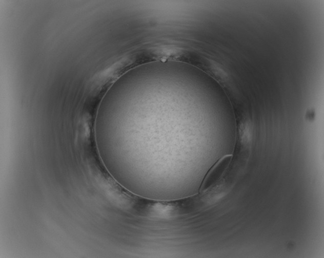 X0000113240570200909171605