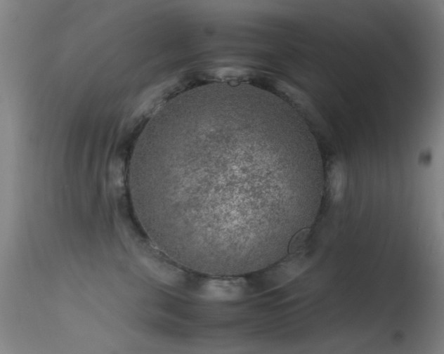 X0000113240571200909171605