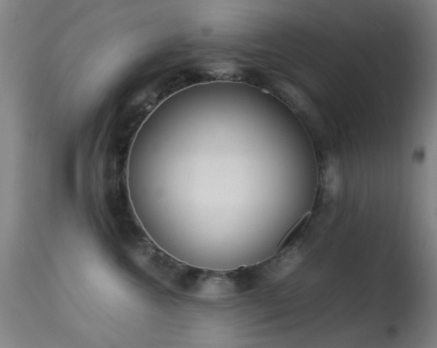 X0000113240572200909171605