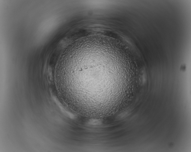 X0000113240573200909171605