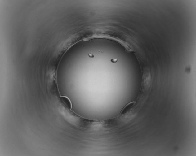 X0000113240574200909171605