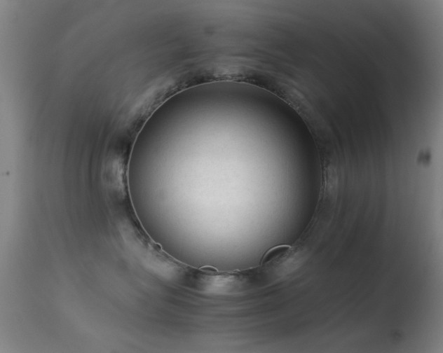 X0000113240575200909171605