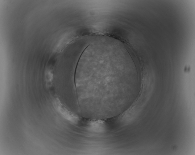 X0000113240576200909171605