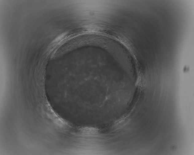 X0000113240577200909171605