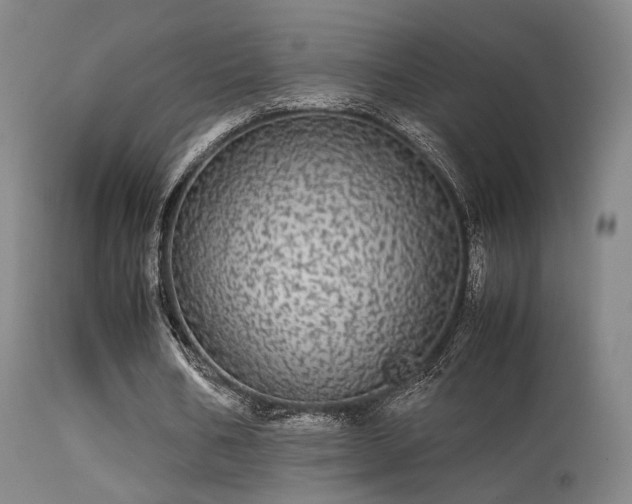 X0000113240578200909171605