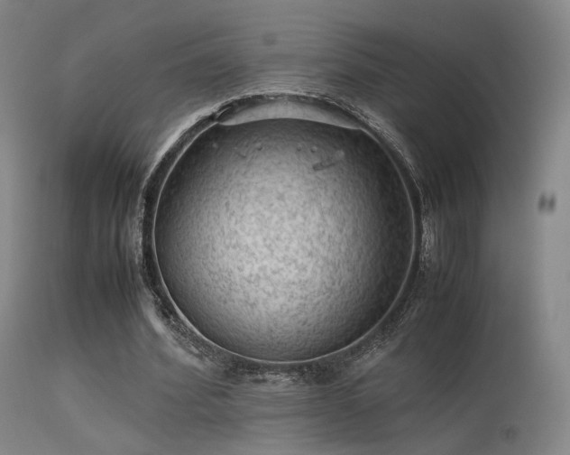 X0000113240580200909171605