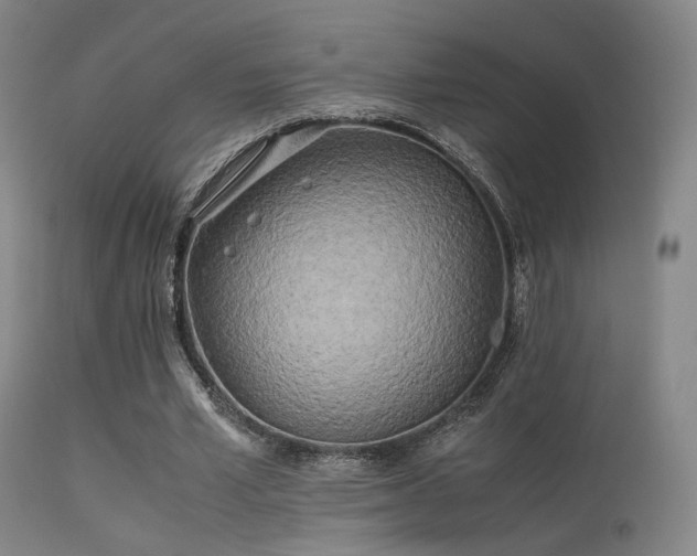 X0000113240581200909171604