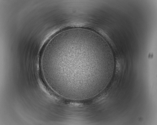 X0000113240582200909171604