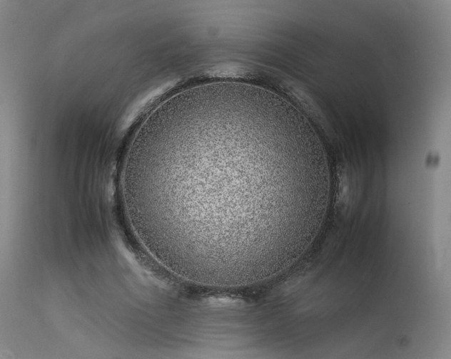 X0000113240586200909171604