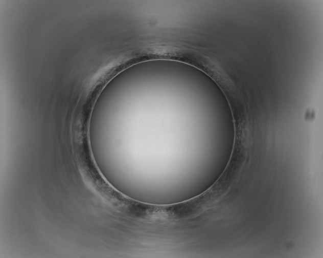 X0000113240587200909171604