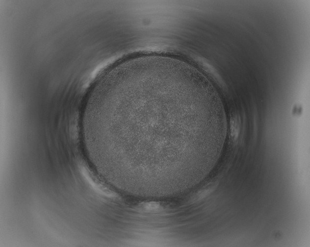 X0000113240588200909171604