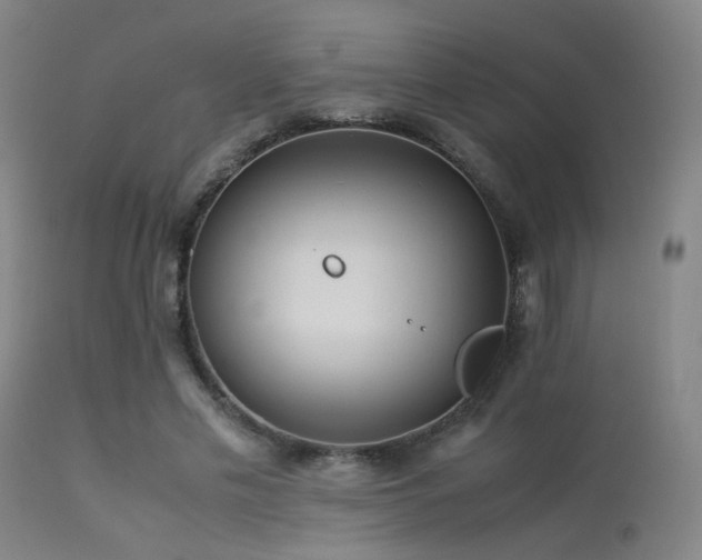 X0000113240589200909171604