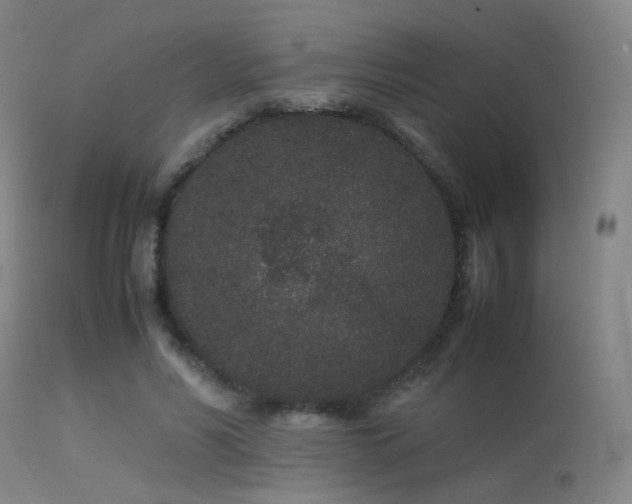 X0000113240590200909171604