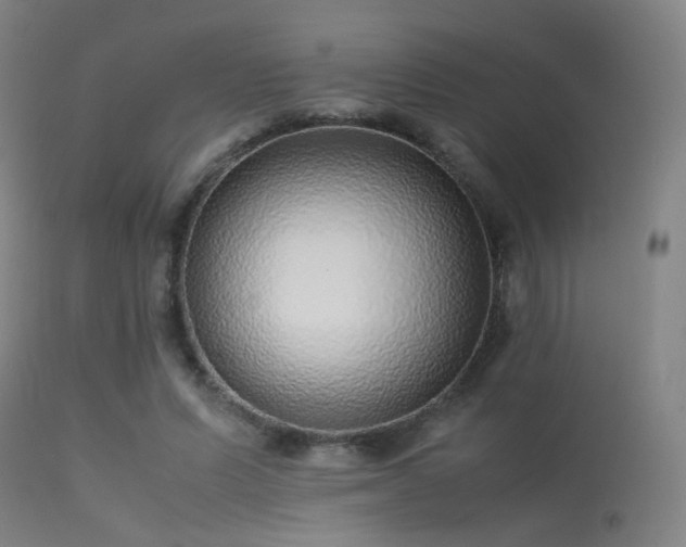 X0000113240591200909171604