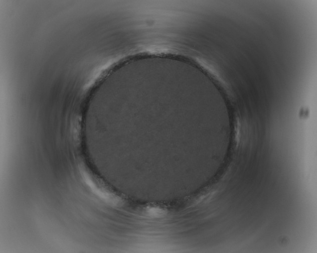 X0000113240592200909171604