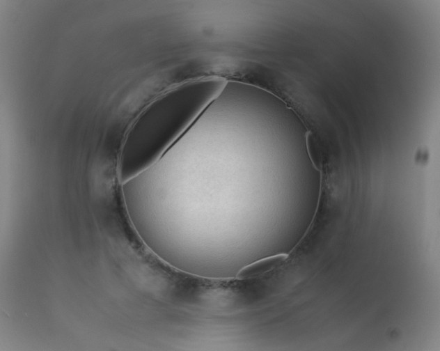 X0000113240593200909171604