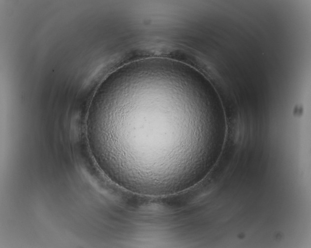 X0000113240594200909171604