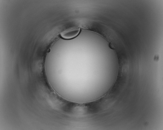 X0000113240595200909171604