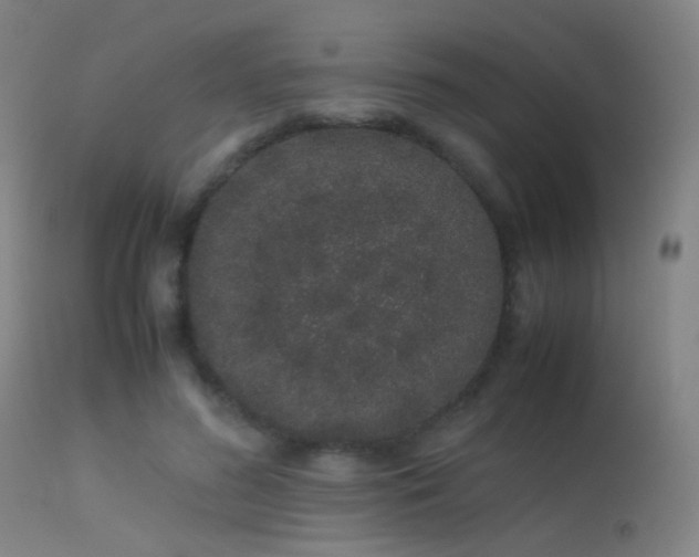 X0000113240596200909171604