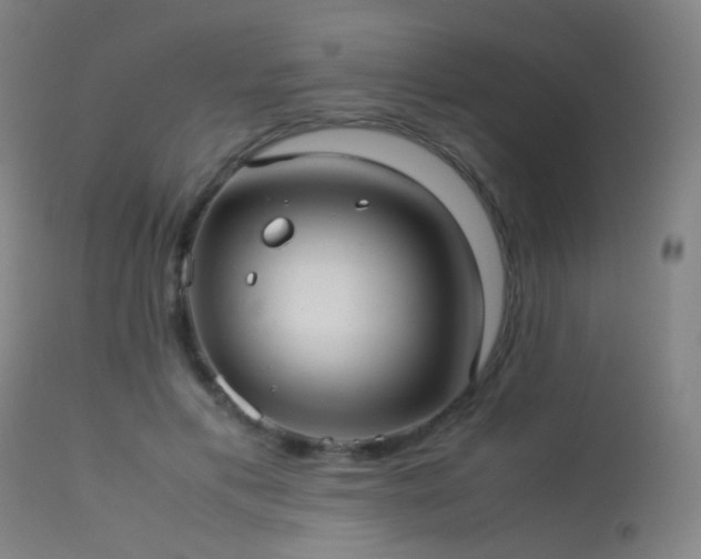 X0000113240597200909171604