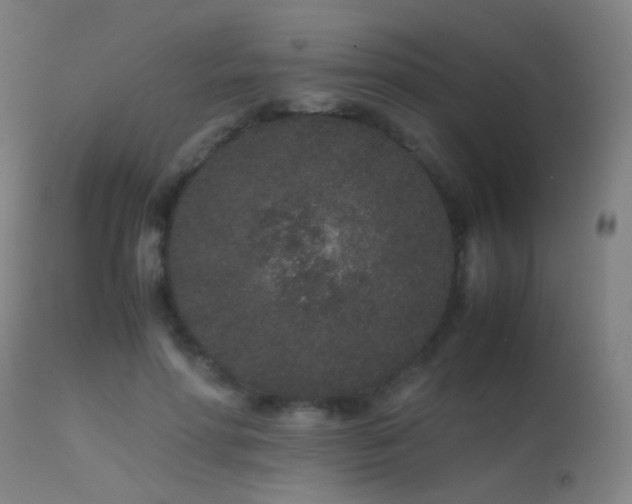 X0000113240598200909171604