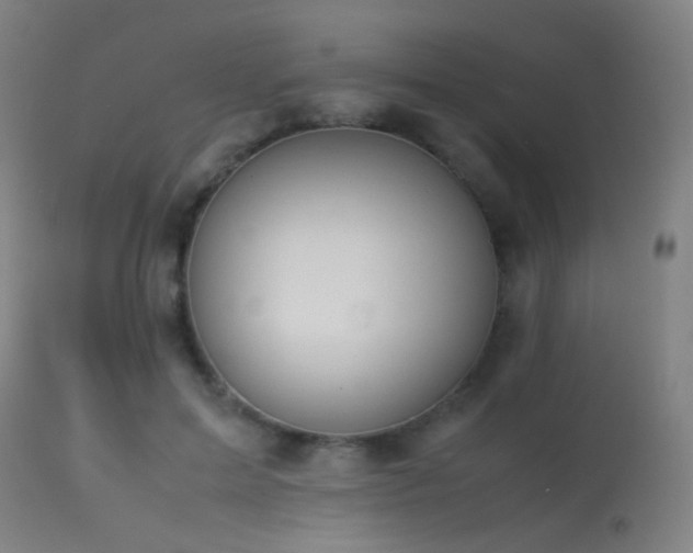 X0000113240599200909171604