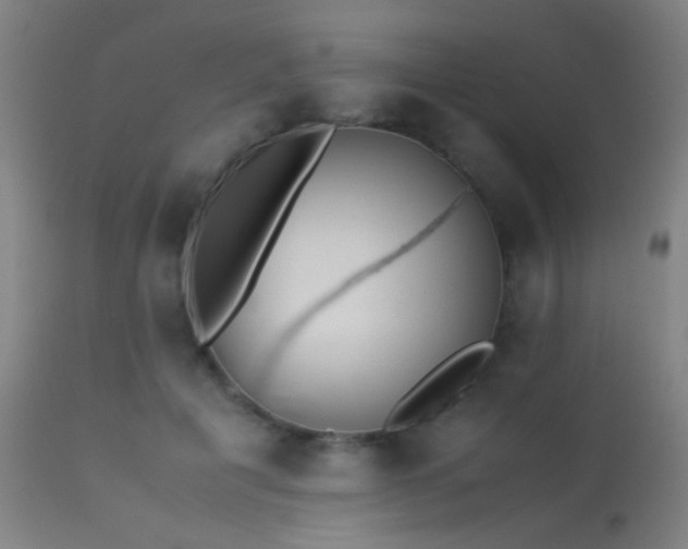 X0000113240601200909171604