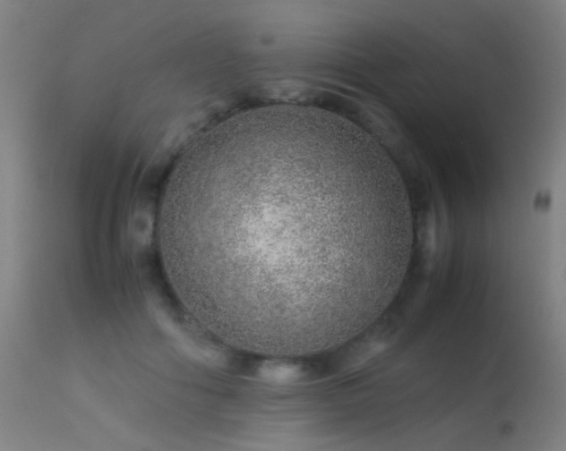 X0000113240602200909171604