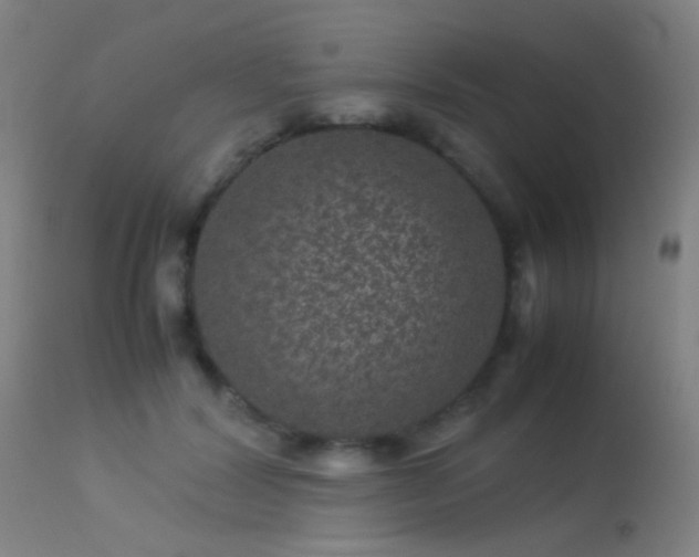 X0000113240604200909171604