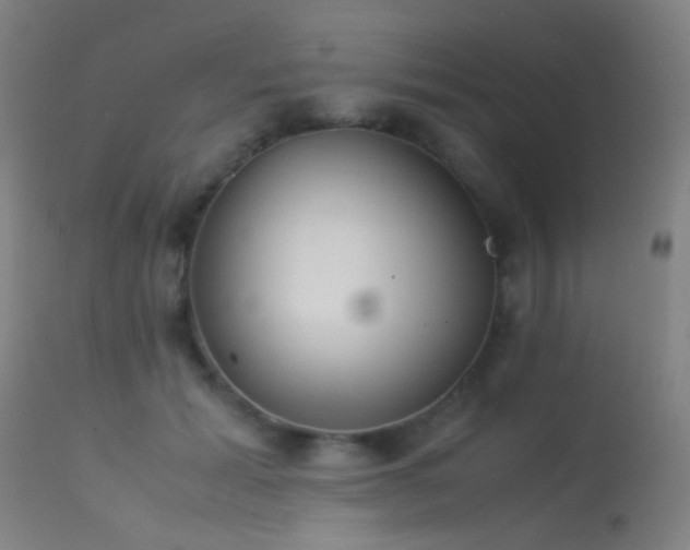 X0000113240605200909171604