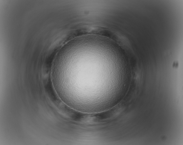 X0000113240607200909171604