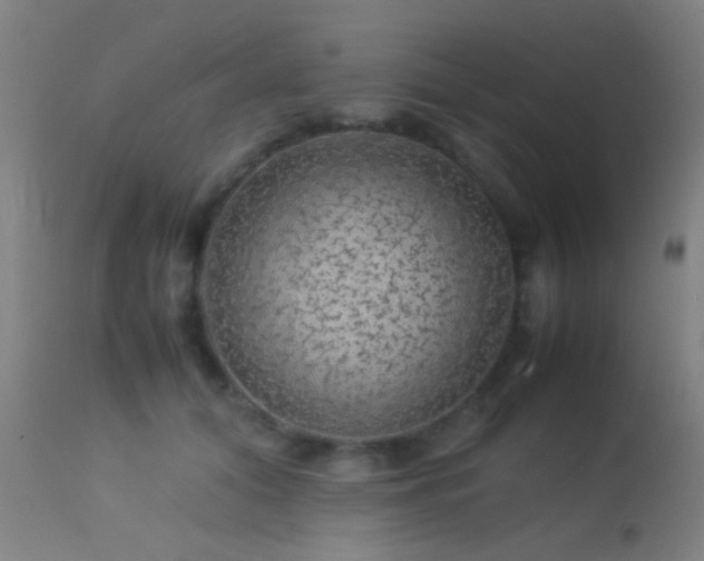 X0000113240608200909171604