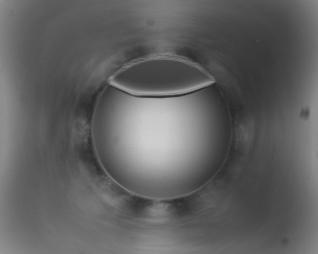 X0000113240609200909171604