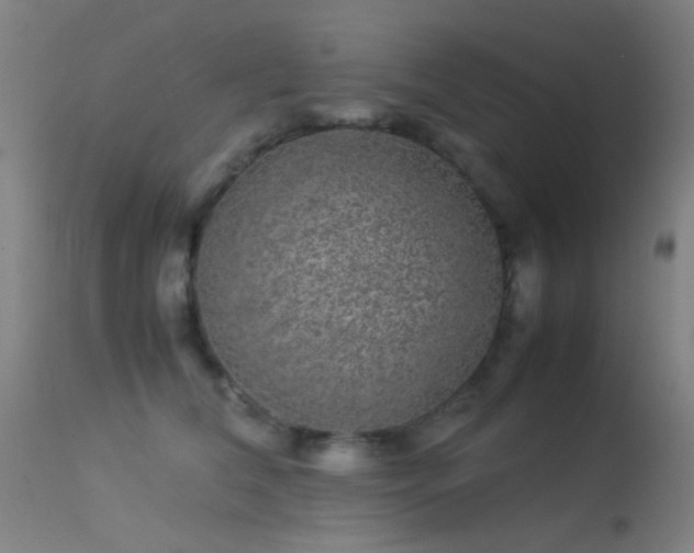 X0000113240612200909171604