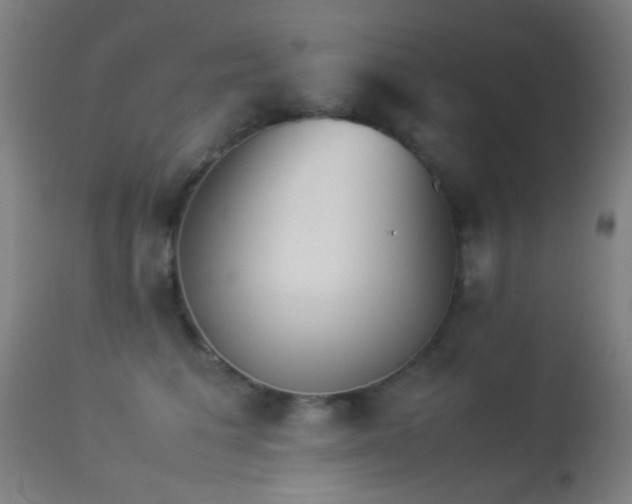 X0000113240613200909171604