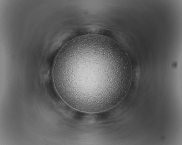 X0000113240615200909171604