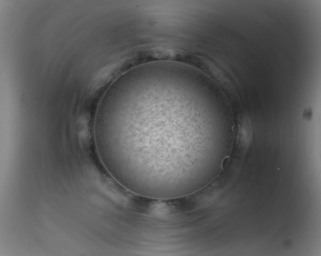 X0000113240616200909171604