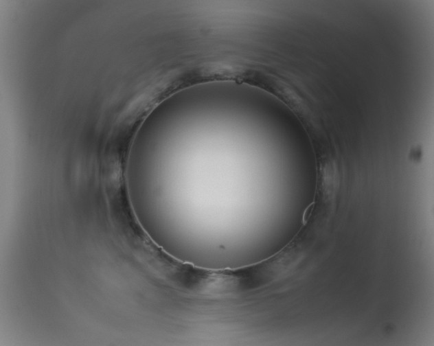 X0000113240617200909171604