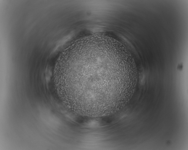 X0000113240618200909171604