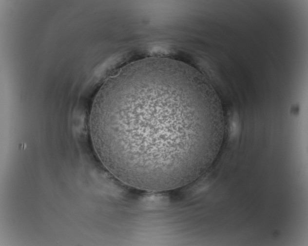 X0000113240619200909171604