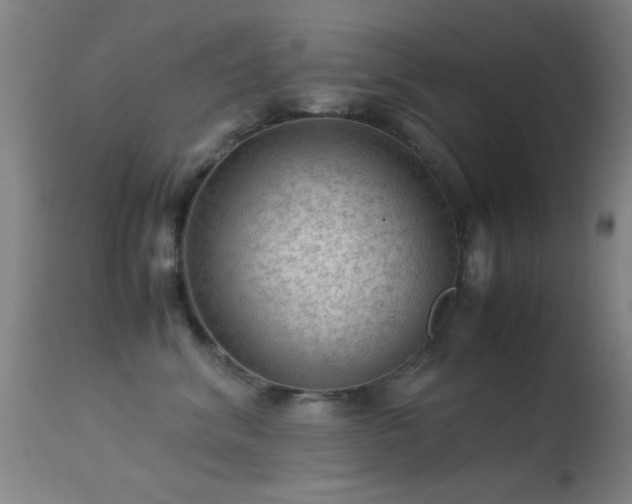 X0000113240620200909171604