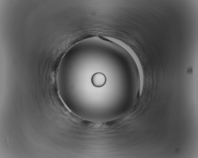 X0000113240621200909171604