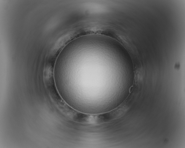 X0000113240623200909171604