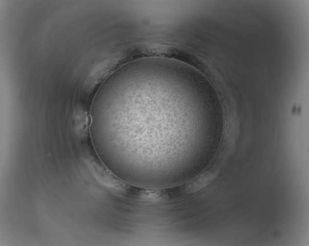 X0000113240624200909171604