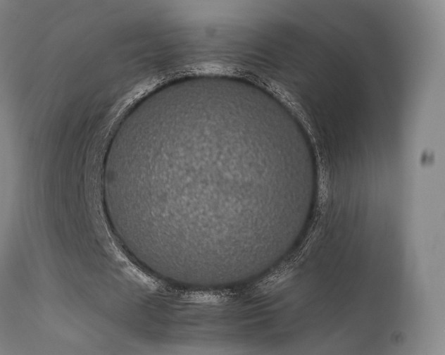 X0000113240625200909171603