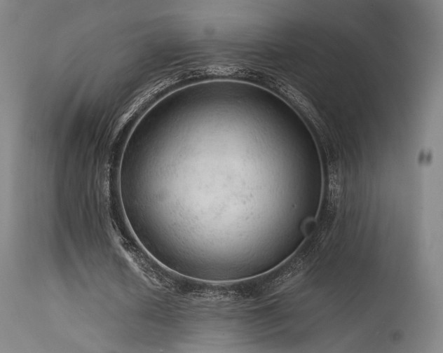 X0000113240626200909171603